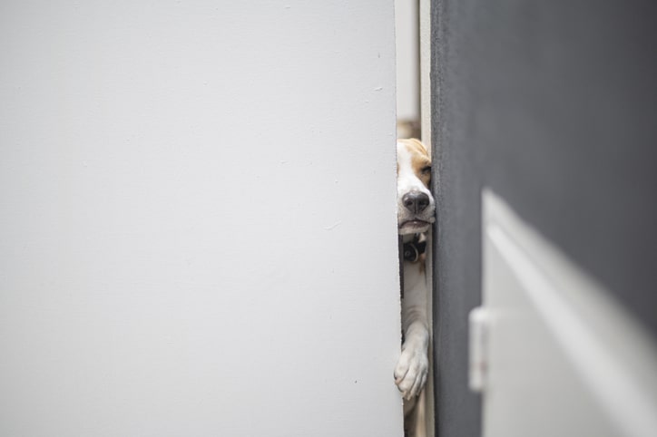 Foot in the door teknikken